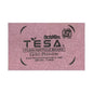 Action Tesa Gold Premium 18 mm Thick Exterior Grade Plain Particle Board